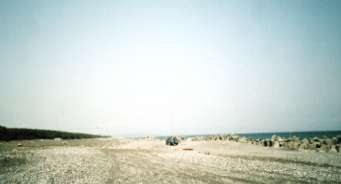 アンテナの写真・・・って言っても見えないじゃん