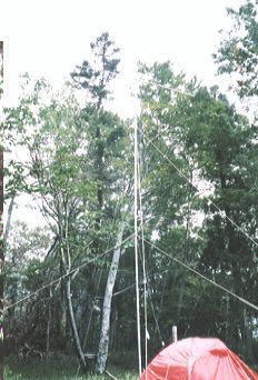 アンテナの写真