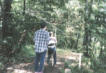 �ړ����̎ʐ^