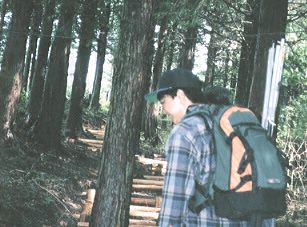 �R�����̗l�q�̎ʐ^