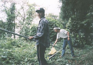 �A���e�i�݉c���̎ʐ^