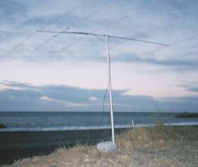 �T�G�����M�̉ːݏ�